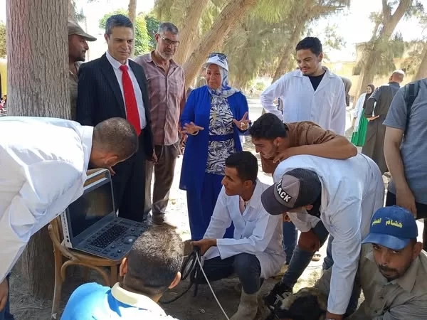 "الزراعة" تكثّف جهود الرعاية التناسلية والتحسين الوراثي للماشية خلال سبتمبر 19 - جريدة المساء