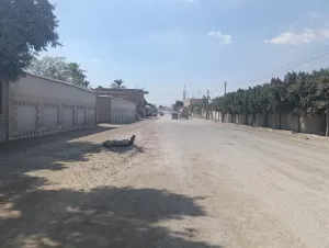 جولة ميدانية لنائب محافظ الجيزة بمركز منشأة القناطر 21 - جريدة المساء