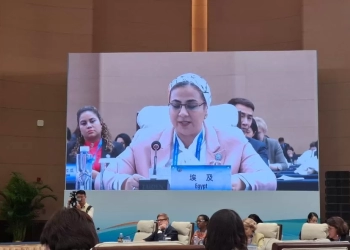 أمل عمار أمام القمة العالمية للمرأةبالصين:مصر تجدد دعمها الراسخ للمرأة الفلسطينية، تقديرًا لصمودها 17 - جريدة المساء