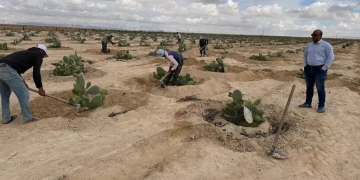 "بحوث الصحراء" ينظم زيارات ميدانية للتجمعات الزراعية في سيناء ضمن مبادرة “اسأل واستشير” 1 - جريدة المساء