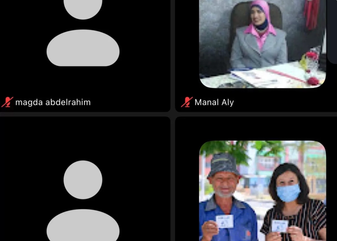 لجنة التدريب بـ"قومي المرأة" تنظم تدريبًا متخصصًا حول الشمول المالي والقروض البنكية والاستثمار 19 - جريدة المساء