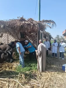 انطلاق الحملة القومية الثالثة للتحصين ضد أمراض الحمى في قري الجيزة 26 - جريدة المساء انطلاق الحملة القومية الثالثة للتحصين ضد أمراض الحمى في قري الجيزة 25 - جريدة المساء