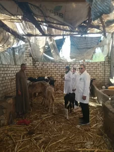 انطلاق الحملة القومية الثالثة للتحصين ضد أمراض الحمى في قري الجيزة 28 - جريدة المساء انطلاق الحملة القومية الثالثة للتحصين ضد أمراض الحمى في قري الجيزة 27 - جريدة المساء