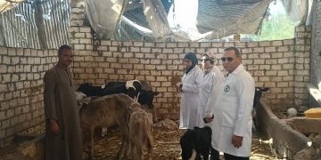 انطلاق الحملة القومية الثالثة للتحصين ضد أمراض الحمى في قري الجيزة 2 - جريدة المساء انطلاق الحملة القومية الثالثة للتحصين ضد أمراض الحمى في قري الجيزة 1 - جريدة المساء