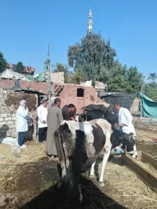 انطلاق الحملة القومية الثالثة للتحصين ضد أمراض الحمى في قري الجيزة 30 - جريدة المساء انطلاق الحملة القومية الثالثة للتحصين ضد أمراض الحمى في قري الجيزة 29 - جريدة المساء