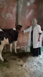 انطلاق الحملة القومية الثالثة للتحصين ضد أمراض الحمى في قري الجيزة 44 - جريدة المساء انطلاق الحملة القومية الثالثة للتحصين ضد أمراض الحمى في قري الجيزة 43 - جريدة المساء