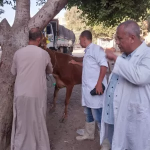 انطلاق الحملة القومية الثالثة للتحصين ضد أمراض الحمى في قري الجيزة 48 - جريدة المساء انطلاق الحملة القومية الثالثة للتحصين ضد أمراض الحمى في قري الجيزة 47 - جريدة المساء