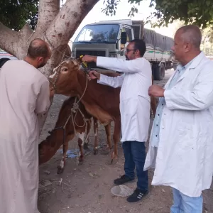 انطلاق الحملة القومية الثالثة للتحصين ضد أمراض الحمى في قري الجيزة 50 - جريدة المساء انطلاق الحملة القومية الثالثة للتحصين ضد أمراض الحمى في قري الجيزة 49 - جريدة المساء