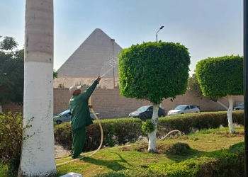 محافظ الجيزة:صيانة شاملة للمسطحات الخضراء بمحيط المتحف المصري الكبير 25 - جريدة المساء