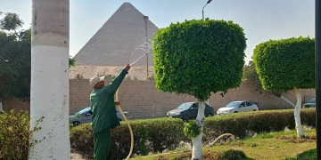 محافظ الجيزة:صيانة شاملة للمسطحات الخضراء بمحيط المتحف المصري الكبير 2 - جريدة المساء محافظ الجيزة:صيانة شاملة للمسطحات الخضراء بمحيط المتحف المصري الكبير 1 - جريدة المساء