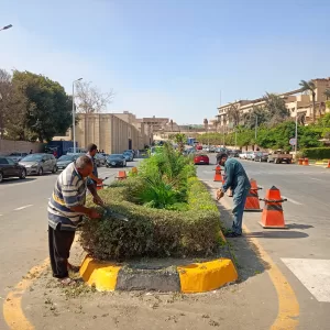 محافظ الجيزة:صيانة شاملة للمسطحات الخضراء بمحيط المتحف المصري الكبير 24 - جريدة المساء محافظ الجيزة:صيانة شاملة للمسطحات الخضراء بمحيط المتحف المصري الكبير 23 - جريدة المساء
