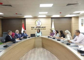 المجلس القومي يناقش تمكين المرأة علميا ورقميا وحمايتها من التحديات التكنولوجية 32 - جريدة المساء