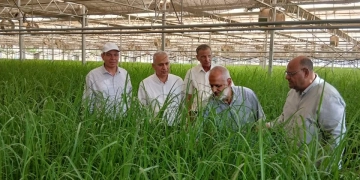 وكيل البحوث الزراعية يتفقد محطتي شتلات قصب السكر بأسوان 2 - جريدة المساء وكيل البحوث الزراعية يتفقد محطتي شتلات قصب السكر بأسوان 1 - جريدة المساء