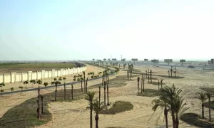 محافظ الجيزة يتفقد اللمسات النهائية لأعمال التطوير والتجميل استعدادا لافتتاح المتحف الكبير 43 - جريدة المساء