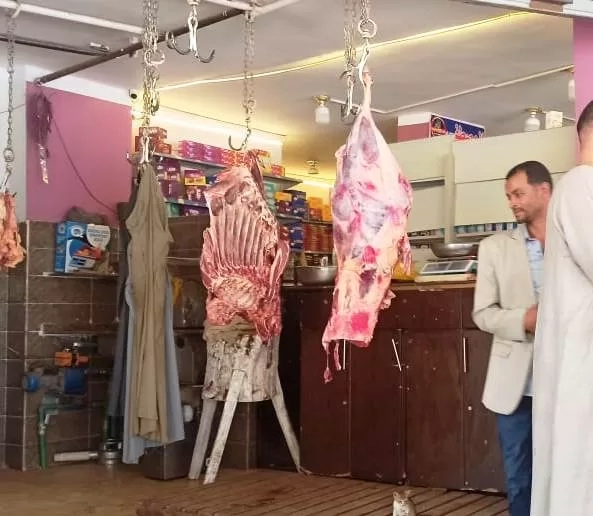 تحرير 23 محضر لمخالفات تموينية فى حملات ميدانية بمدن كوم أمبو والرديسية 19 - جريدة المساء