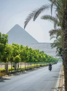 الجيزة ترفع جاهزيتها لاستقبال ضيوف المتحف المصري الكبير 42 - جريدة المساء