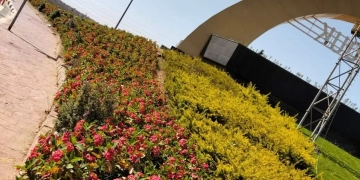 تطوير وصيانة مدخل الشروق 2 بطريق السويس حفاظًا على المظهر الحضارى 1 - جريدة المساء