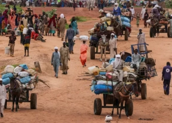 أستاذ قانون دولي يحدد خارطة طريق لإنقاذ الفاشر بالسودان  16 - جريدة المساء
