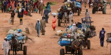 أستاذ قانون دولي يحدد خارطة طريق لإنقاذ الفاشر بالسودان  1 - جريدة المساء