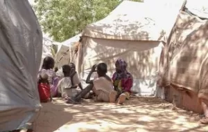 أستاذ قانون دولي يحدد خارطة طريق لإنقاذ الفاشر بالسودان  22 - جريدة المساء