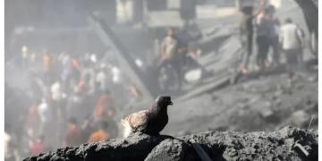 مشاعر الفرح والحزن والقلق على الفلسطينيين في قطاع غزة 1 - جريدة المساء