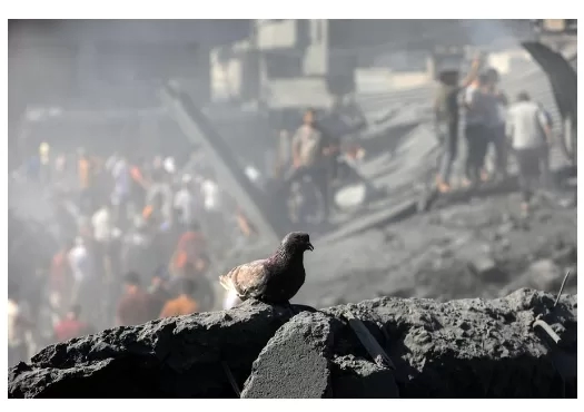 مشاعر الفرح والحزن والقلق على الفلسطينيين في قطاع غزة 18 - جريدة المساء