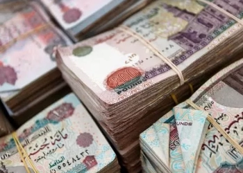 ضبط تاجر مخدرات غسل 50 مليون جنيه في عقارات وسيارات بقنا 27 - جريدة المساء