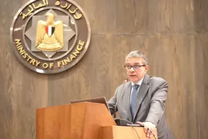 نائب وزير المالية: نعمل على دمج التجارة الإلكترونية بشكل أكبر.. لتعزيز تنوع الاقتصاد المصري 23 - جريدة المساء