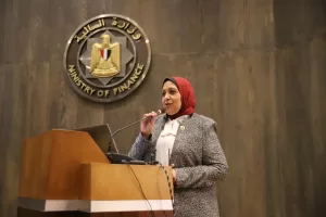 نائب وزير المالية: نعمل على دمج التجارة الإلكترونية بشكل أكبر.. لتعزيز تنوع الاقتصاد المصري 29 - جريدة المساء