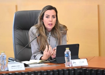 زينة توكل المديرة التنفيذية لصندوق قادرون باختلاف