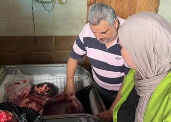 ضبط 5 أطنان ونصف دجاج و"شاورما" غير صالحة بالدقهلية 17 - جريدة المساء