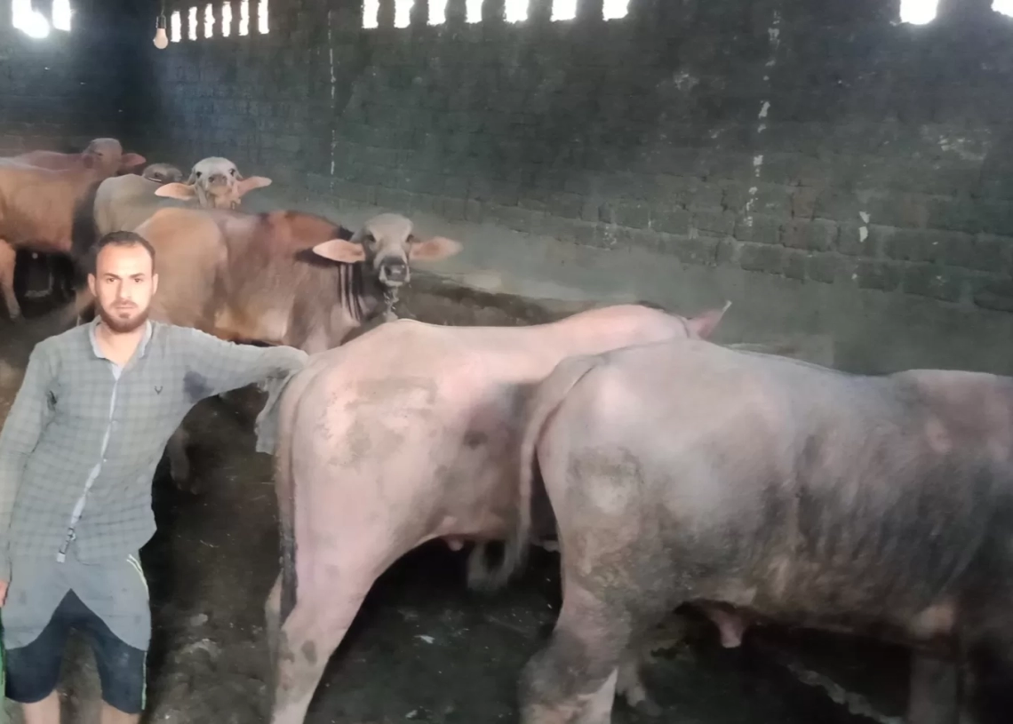 "الزراعة": 774 ترخيصًا وتشغيل 73 خط إنتاج أعلاف وتصدير منتجات دواجن إلى الخارج 26 - جريدة المساء