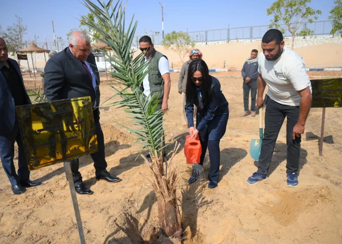 وزيرة التضامن تغرس نخلة في حديقة 30 يونيو بالوادي الجديد 19 - جريدة المساء