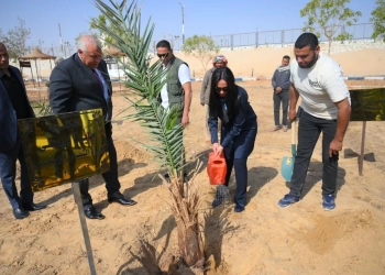 وزيرة التضامن تغرس نخلة في حديقة 30 يونيو بالوادي الجديد 15 - جريدة المساء