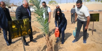 وزيرة التضامن تغرس نخلة في حديقة 30 يونيو بالوادي الجديد 1 - جريدة المساء