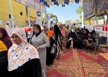 اقبال كبير من الناخبين على انتخابات مجلس النواب في مدينة أبوسمبل السياحية 27 - جريدة المساء