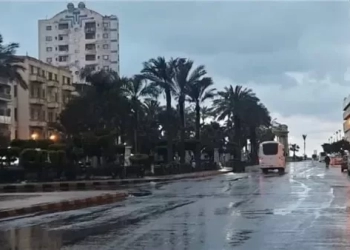 أمطار متوسطة تسبب انقطاع الكهرباء بعدة قرى في قنا 17 - جريدة المساء