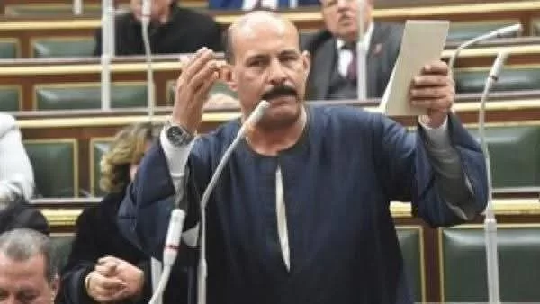 قنا ترحب بقرار إلغاء الانتخابات وتثمن توجيهات الرئيس 29 - جريدة المساء