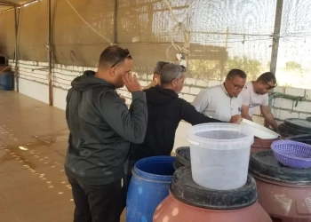 ضبط مصنع مخللات بدون ترخيص ومنتجات غير صالحة بالمنيا 33 - جريدة المساء