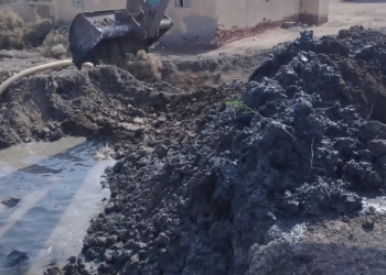 إزالة 10 مزارع سمكية مخالفة على أرض زراعية بمساحة 50 فدانا جنوب بورسعيد 25 - جريدة المساء