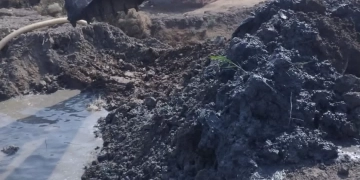 إزالة 10 مزارع سمكية مخالفة على أرض زراعية بمساحة 50 فدانا جنوب بورسعيد 1 - جريدة المساء