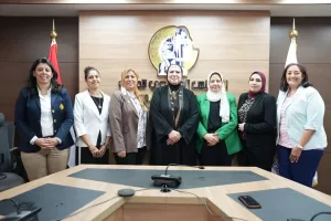 لجنة ريادة الأعمال بالمجلس القومي تناقش أنشطة حملة الـ16 يوما لمناهضة العنف ضد المرأة 21 - جريدة المساء