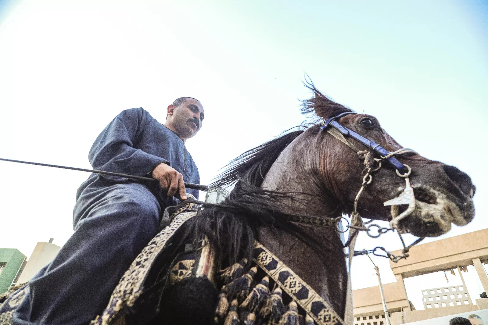 بألوان التراث وأصوات الفلكلور .. قنا تحتفي بانطلاق أول مهرجان للفنون والحرف التراثية 37 - جريدة المساء