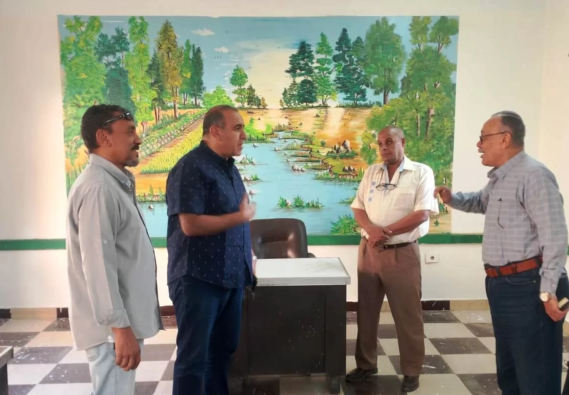 محافظ أسوان يكلف معاونه ومسئولى الوحدات المحلية بالمتابعة الميدانية لتجهيز مقار اللجان الإنتخابية بواقع 190 لجنة 18 - جريدة المساء