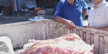 ضبط 3 أطنان لحوم و دواجن و أسماك فاسدة.. بالمنوفية 1 - جريدة المساء