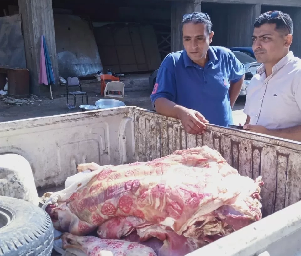 ضبط 3 أطنان لحوم و دواجن و أسماك فاسدة.. بالمنوفية 18 - جريدة المساء