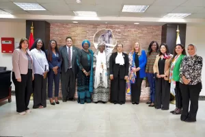 المستشارة أمل عمار تبحث سبل التعاون مع وفد مفوضية الاتحاد الإفريقي 29 - جريدة المساء