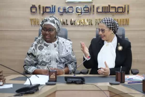 المستشارة أمل عمار تبحث سبل التعاون مع وفد مفوضية الاتحاد الإفريقي 19 - جريدة المساء