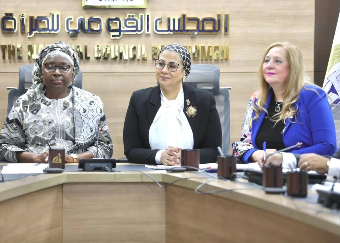 المستشارة أمل عمار تبحث سبل التعاون مع وفد مفوضية الاتحاد الإفريقي 17 - جريدة المساء