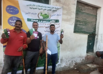 صندوق التأمين على الثروة الحيوانية" ينظم حملة توعوية بيطرية لدعم صغار المربين بالبحيرة 17 - جريدة المساء